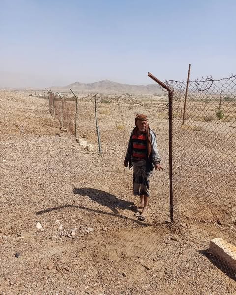  - صورة إضافية 2